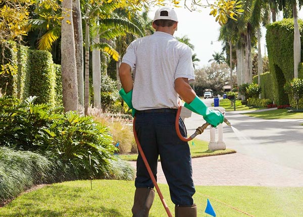 About Saint Catharine KY Pest Control